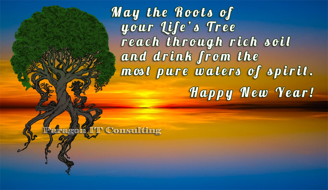 Happy New Year from Paragon IT Consultants!